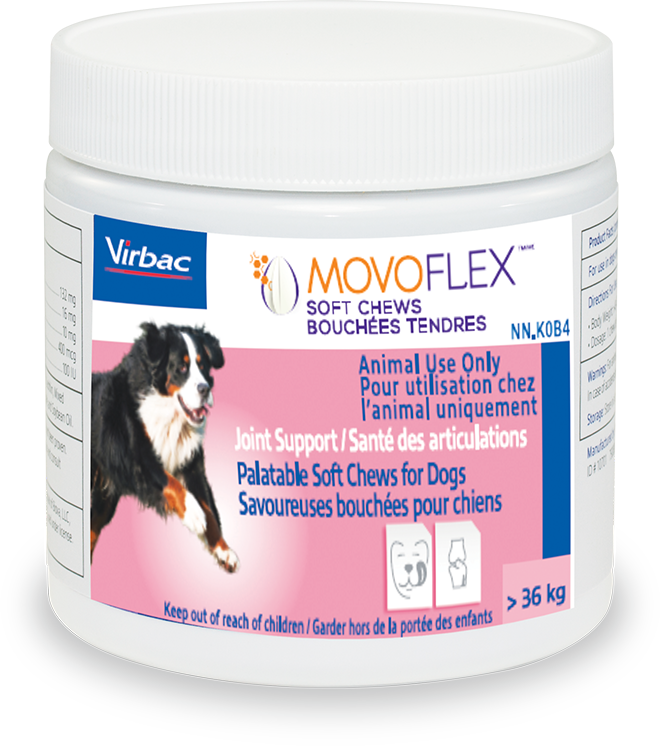 Movoflex for large dogs shop